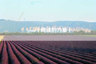 pinn(阅读的力量)