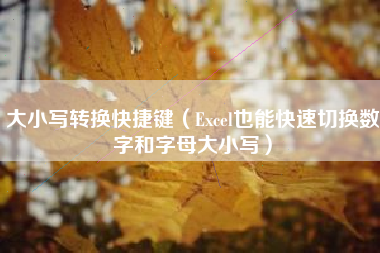大小写转换快捷键（Excel也能快速切换数字和字母大小写）
