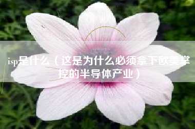 isp是什么(这是为什么必须拿下欧美掌控的半导体产业)