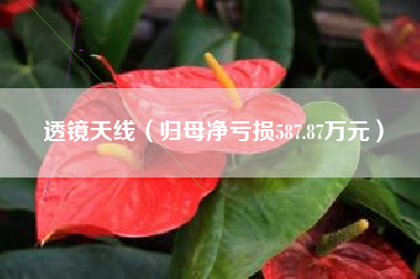 透镜天线(归母净亏损587.87万元)