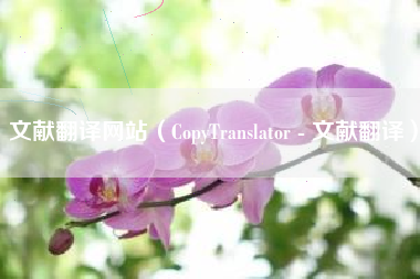 文献翻译网站（CopyTranslator - 文献翻译）