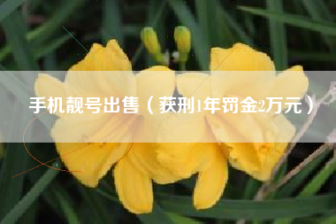 手机靓号出售（获刑1年罚金2万元）
