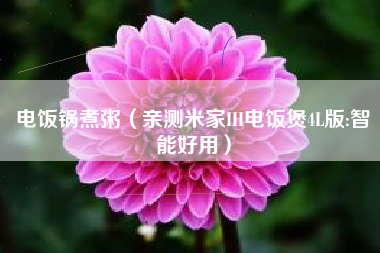 电饭锅煮粥（亲测米家IH电饭煲4L版:智能好用）