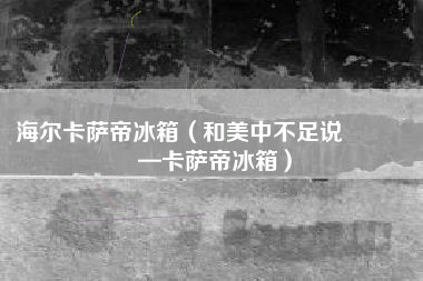海尔卡萨帝冰箱（和美中不足说👋—卡萨帝冰箱）