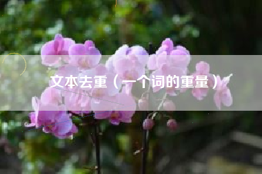 文本去重(一个词的重量)