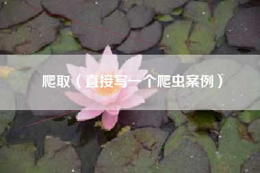 爬取（直接写一个爬虫案例）