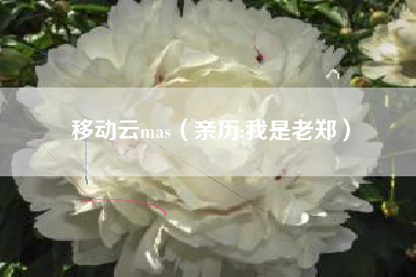 移动云mas（亲历:我是老郑）
