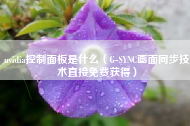 nvidia控制面板是什么(G-SYNC画面同步技术直接免费获得)