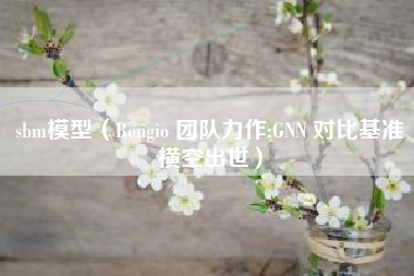 sbm模型（Bengio 团队力作:GNN 对比基准横空出世）