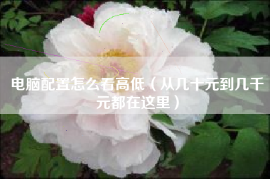 电脑配置怎么看高低(从几十元到几千元都在这里)
