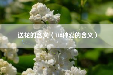 详细阅读:送花的含义(118种爱的含义) 送花的含义(118种爱的含义)