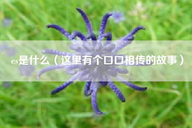 es是什么(这里有个口口相传的故事)