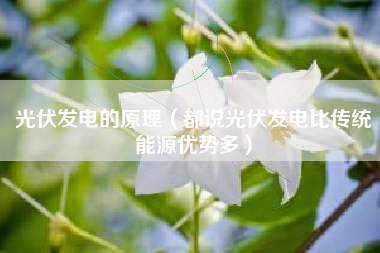 光伏发电的原理（都说光伏发电比传统能源优势多）