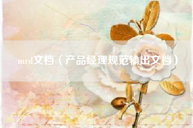 mrd文档（产品经理规范输出文档）
