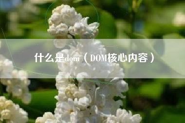 什么是dom（DOM核心内容）