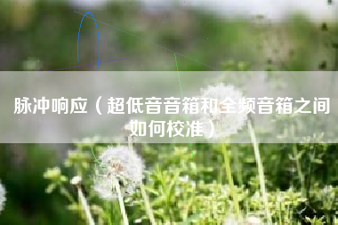 脉冲响应(超低音音箱和全频音箱之间如何校准)