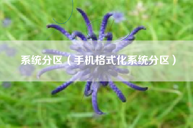 系统分区(手机格式化系统分区)