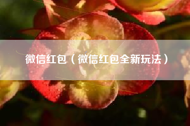 微信红包（微信红包全新玩法）