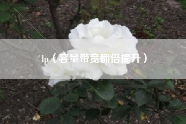 lp(容量带宽翻倍提升)