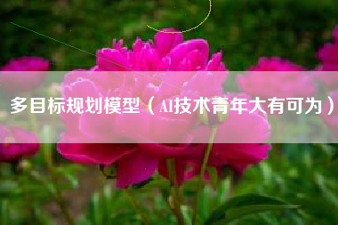 多目标规划模型(AI技术青年大有可为)