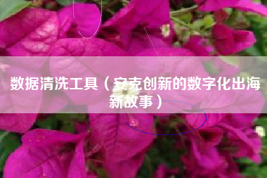 详细阅读:数据清洗工具(安克创新的数字化出海新故事) 数据清洗工具(安克创新的数字化出海新故事)