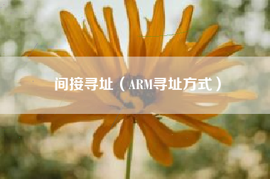 间接寻址（ARM寻址方式）