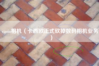 casio相机（卡西欧正式砍掉数码相机业务）