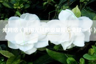 光网络（我国光纤敷设量接近全球一半）