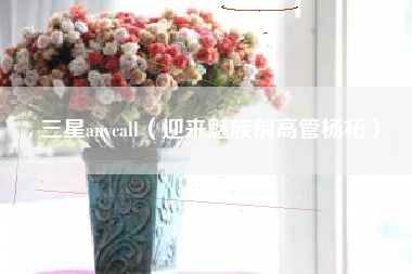 三星anycall（迎来魅族前高管杨柘）