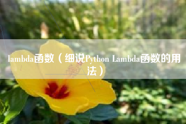 lambda函数（细说Python Lambda函数的用法）