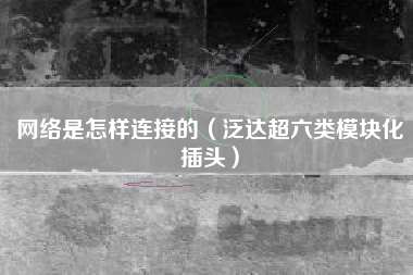 网络是怎样连接的（泛达超六类模块化插头）