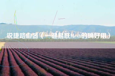 锐捷路由器(一键易联Mesh的确好用)