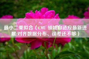 最小二乘拟合(CMU 领域自适应最新进展:对齐数据分布、误差还不够)