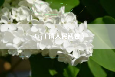 shtq(请人民阅卷)