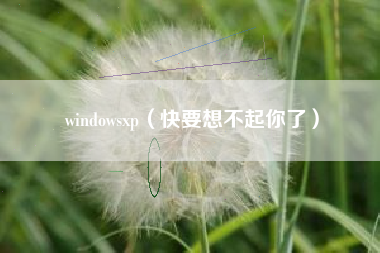windowsxp（快要想不起你了）