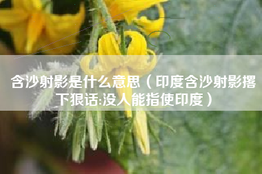含沙射影是什么意思（印度含沙射影撂下狠话:没人能指使印度）