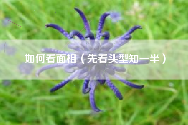 如何看面相(先看头型知一半)