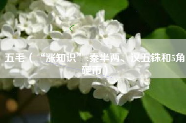 五毛(“涨知识”:秦半两、汉五铢和5角硬币)