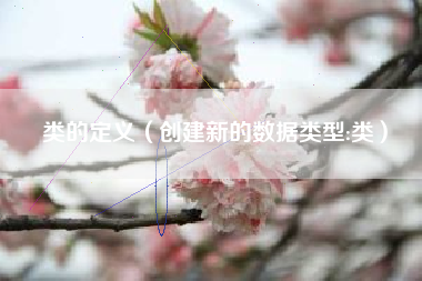 类的定义（创建新的数据类型:类）