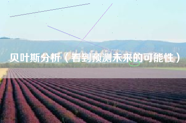贝叶斯分析（看到预测未来的可能性）