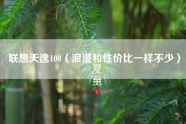 联想天逸100(浪漫和性价比一样不少)