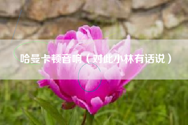 哈曼卡顿音响（对此小林有话说）