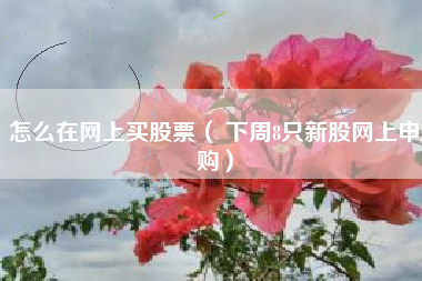 怎么在网上买股票（ 下周8只新股网上申购）