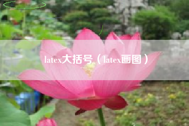 latex大括号(latex画图)