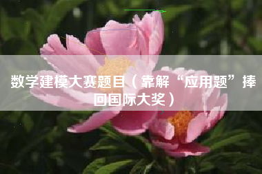 数学建模大赛题目（靠解“应用题”捧回国际大奖）