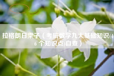 拉格朗日乘子（考研数学九大基础知识(46 个知识点)自查）