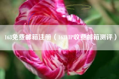 163免费邮箱注册（163VIP收费邮箱测评）