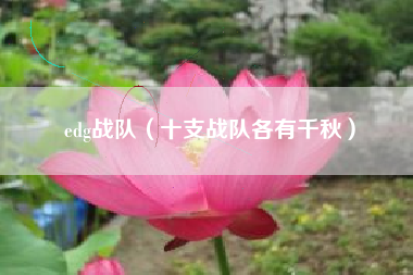 edg战队（十支战队各有千秋）
