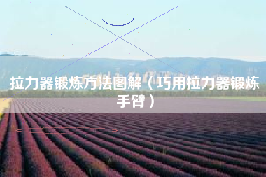 拉力器锻炼方法图解（巧用拉力器锻炼手臂）