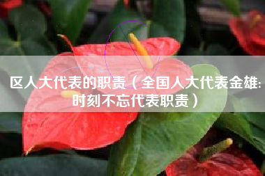 区人大代表的职责(全国人大代表金雄:时刻不忘代表职责)